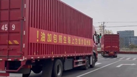 那只“跳進(jìn)”愛(ài)心蔬菜包的手機咋樣啦？請聽(tīng)刷屏“奇遇”后續……