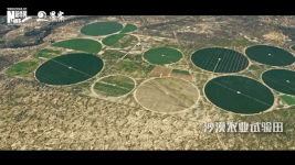 衛星見(jiàn)證，荒漠變綠洲