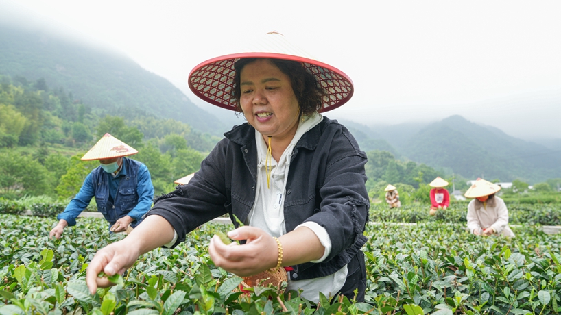守“綠”換“金”！大別山區“兩山”實(shí)踐創(chuàng  )新基地觀(guān)察
