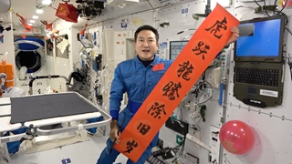 虎嘯山河動(dòng) 神州滿(mǎn)目春——從春節看文化自信