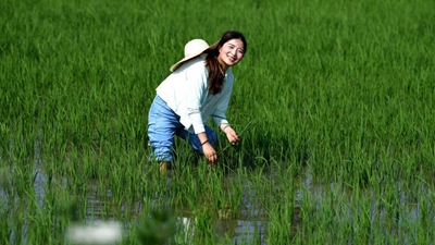 “90后”新農人的田園創(chuàng  )業(yè)夢(mèng)