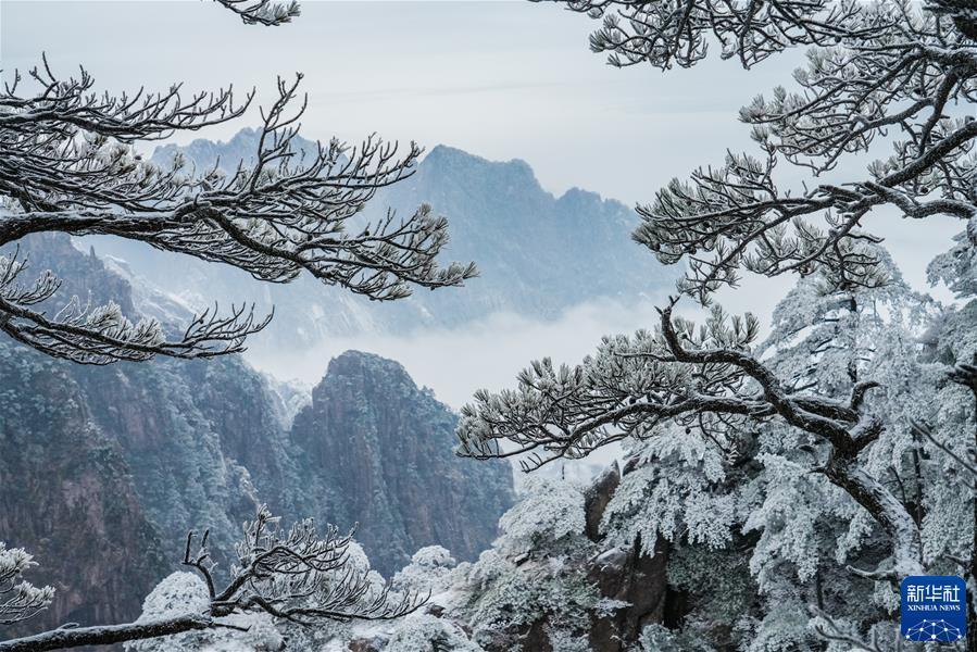 #（鏡觀(guān)中國·新華社國內新聞?wù)掌恢芫x）（1）黃山初春霧凇美