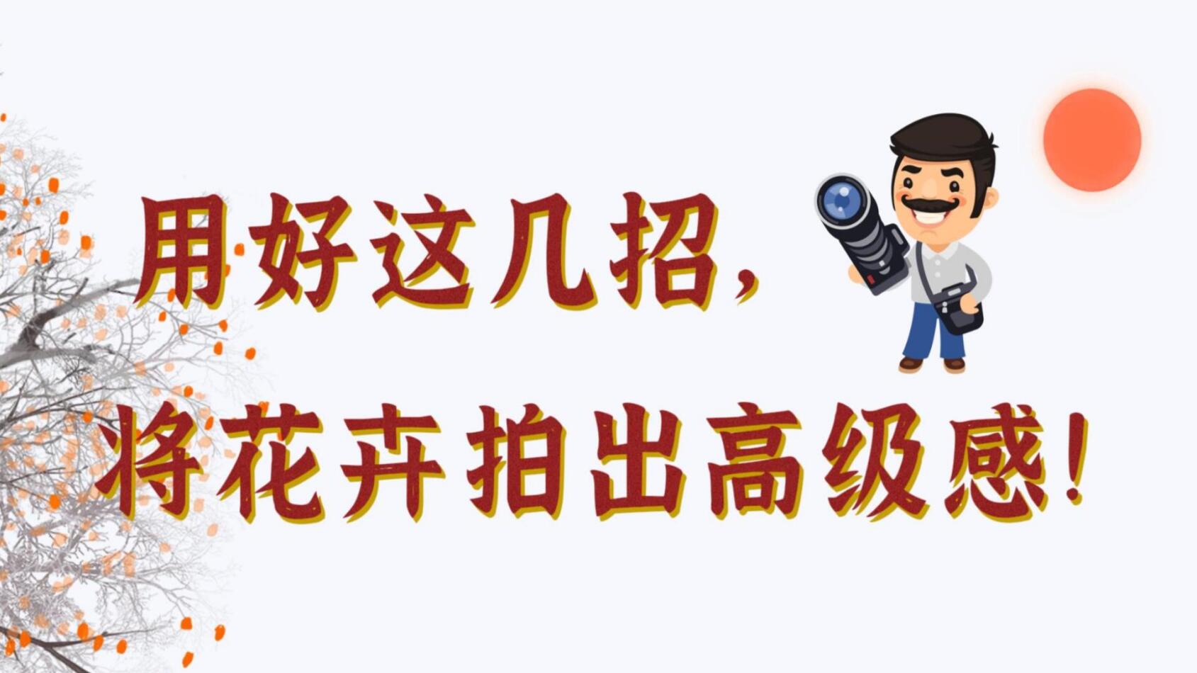【光影輕課堂】用好這幾招，將花卉拍出高級感！