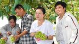 新華全媒+｜豐收季走進(jìn)鄉村“直播間”