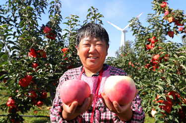 新華全媒+丨糧果豐收在望，農民喜上心頭