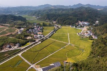 農旅融合 繪就美麗鄉村新畫(huà)卷
