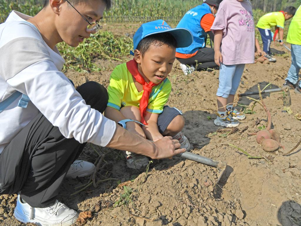 學(xué)習農事 體驗豐收