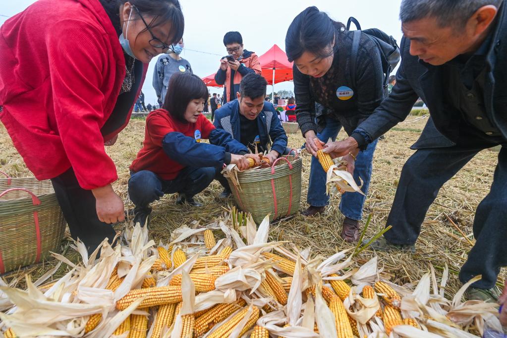 杭州瓶窯舉辦農民豐收運動(dòng)會(huì )