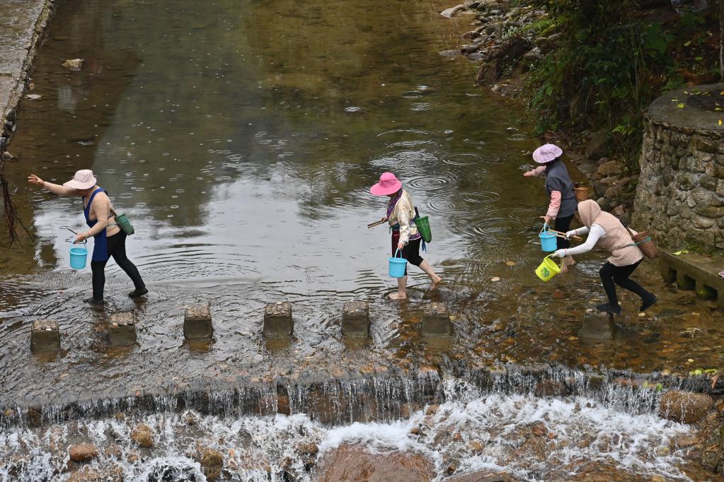 廣西融水：河長(cháng)護碧水