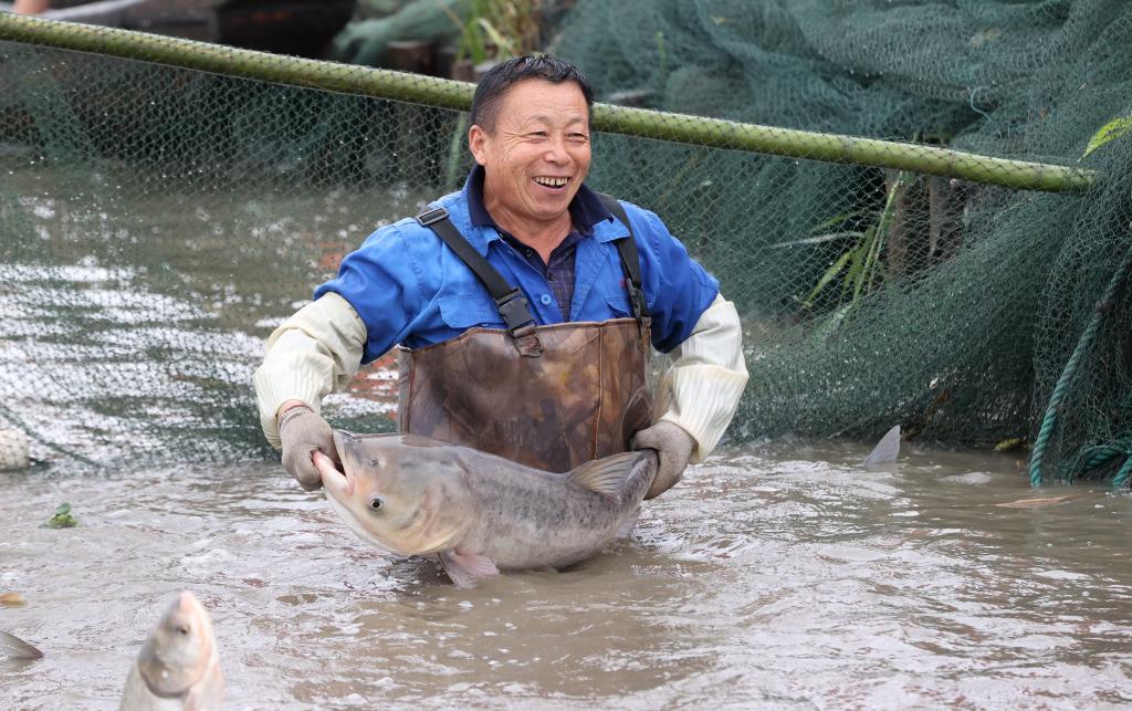 江南水鄉體驗傳統魚(yú)文化