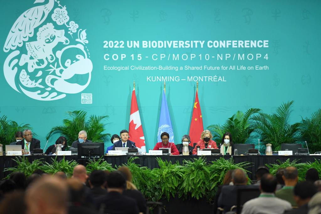 《生物多樣性公約》第十五次締約方大會(huì )（COP15）第二階段會(huì )議開(kāi)幕