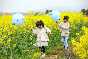 踏青賞花 樂(lè )享春光