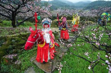 美麗山鄉千畝山花迎客來(lái)