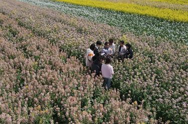 新華全媒+丨春天里的“試驗田”：青春伴著(zhù)泥土芬芳