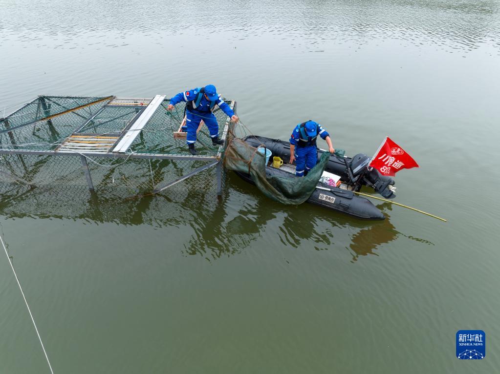 長(cháng)江鱘野外自然繁殖試驗成功 保護工作取得重大突破