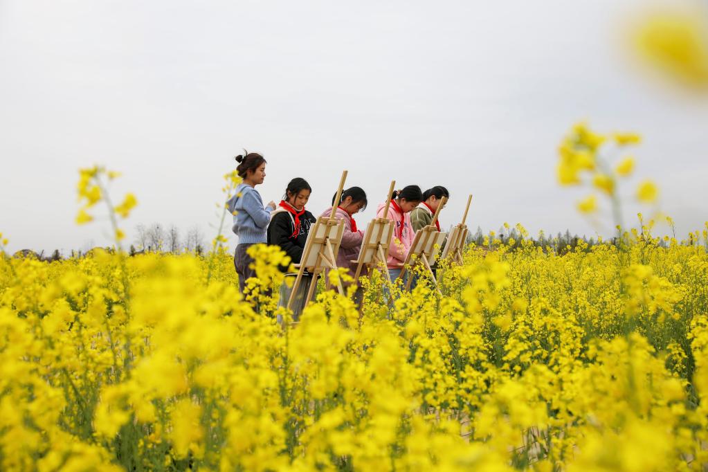 油菜花開(kāi)鄉村美