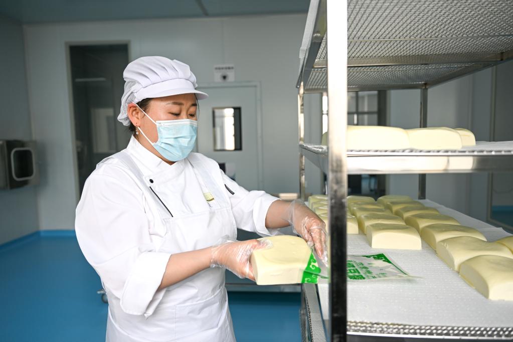 內蒙古鑲黃旗：傳統奶制品產(chǎn)業(yè)助力鄉村振興