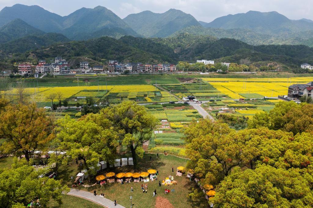 美麗鄉村開(kāi)啟“春天的盛會(huì )”特色鄉村文旅品牌