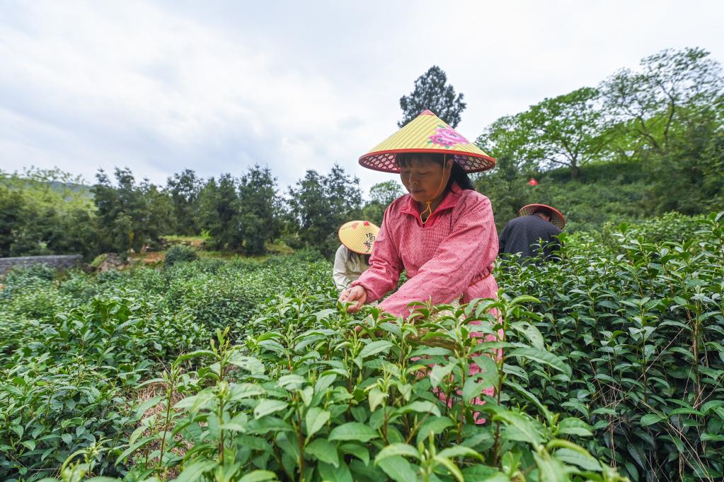 鄉村共富工坊助力百姓就業(yè)增收
