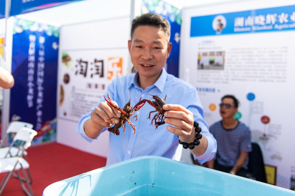 新華全媒+丨第六屆中國（國際）小龍蝦產(chǎn)業(yè)大會(huì )在湖南南縣開(kāi)幕