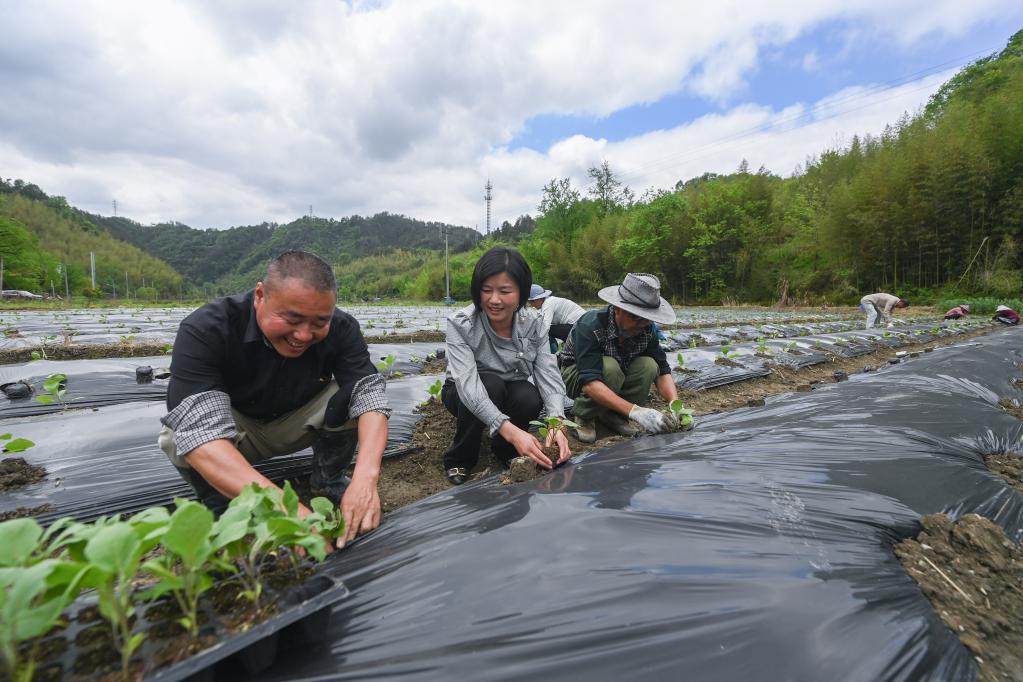 “聚一起 才更牛” 返鄉創(chuàng  )業(yè)人才助農增收