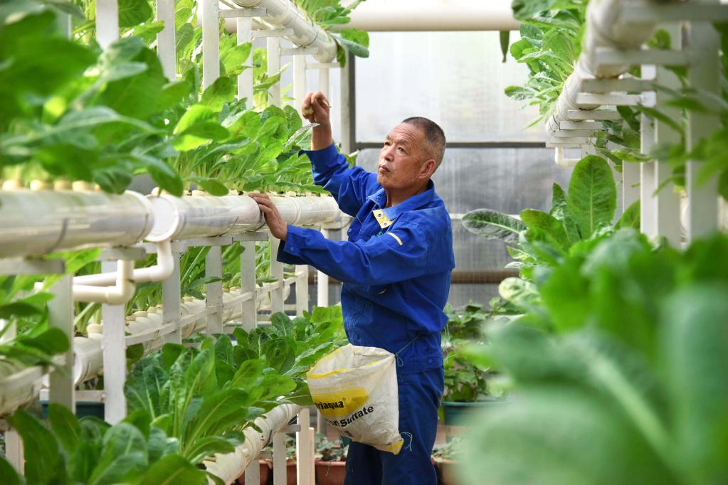新華全媒+丨第二十四屆中國(壽光)國際蔬菜科技博覽會(huì )開(kāi)幕
