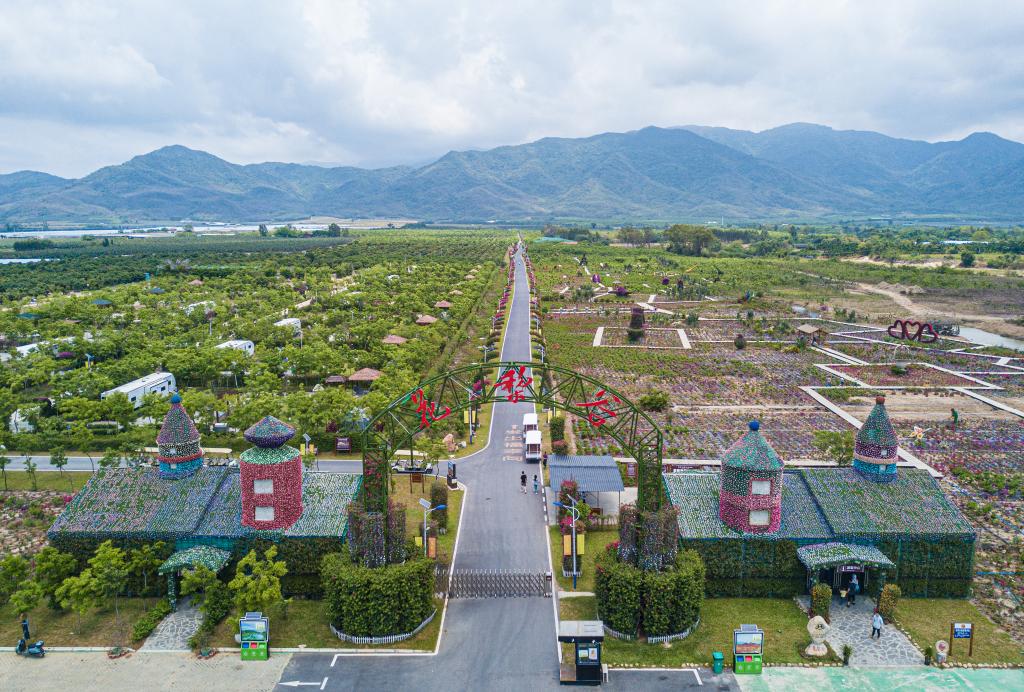 新華全媒+丨文旅融合發(fā)展：花梨谷與鄉村振興