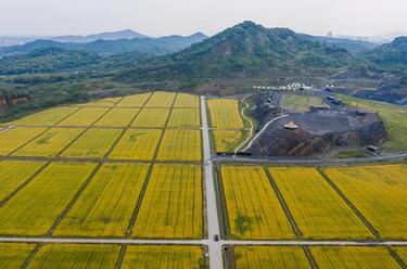 浙江德清：綠水青山涵養生態(tài)經(jīng)濟