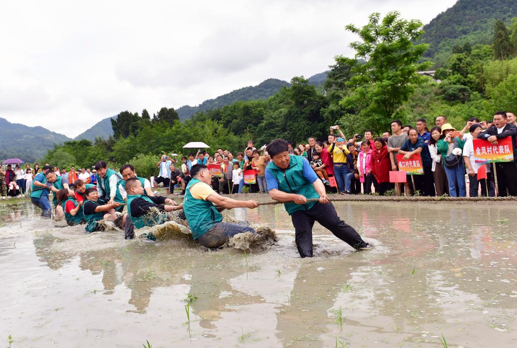 湖北秭歸：農活競技歡樂(lè )多