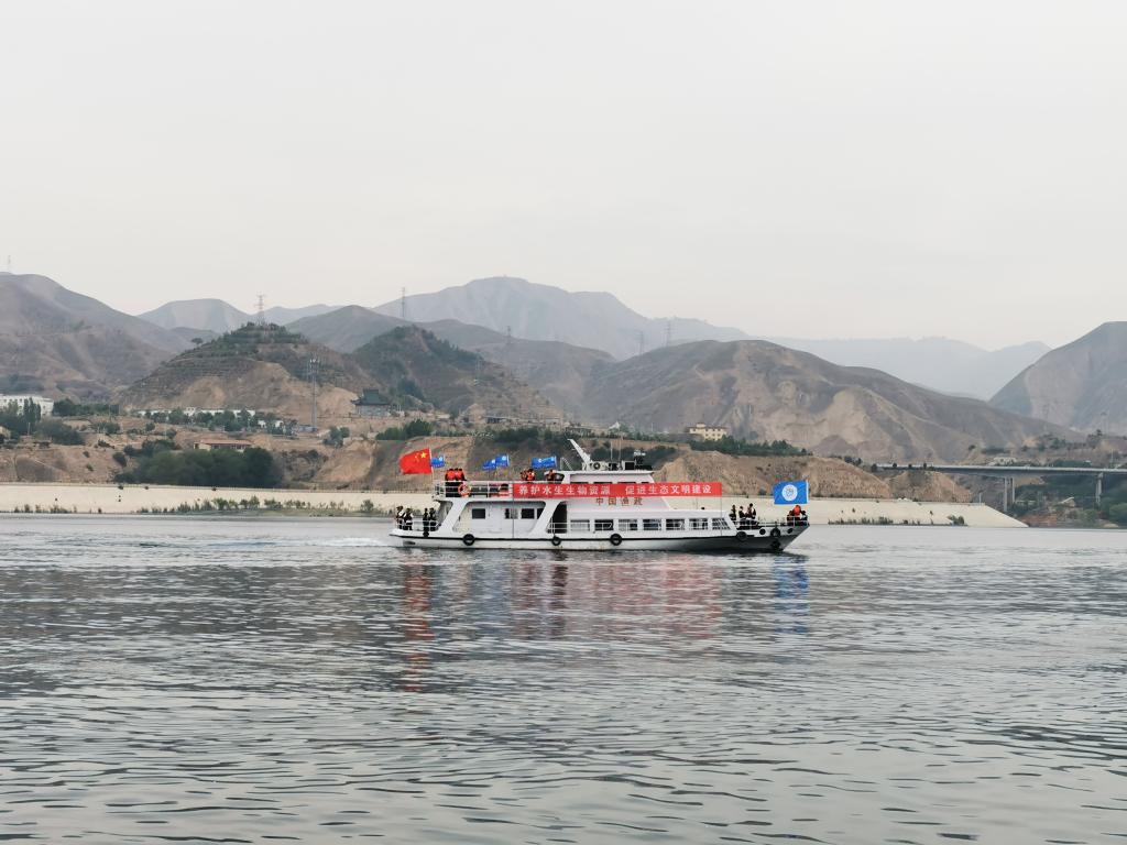 甘肅向劉家峽庫區放流鰱魚(yú)、鳙魚(yú)200萬(wàn)尾