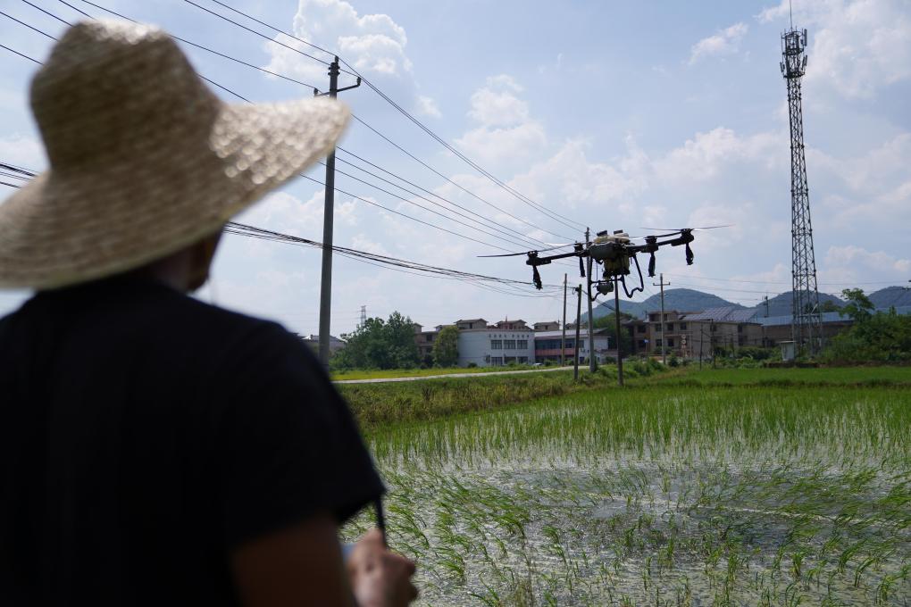江西分宜：無(wú)人機助力“雙搶”