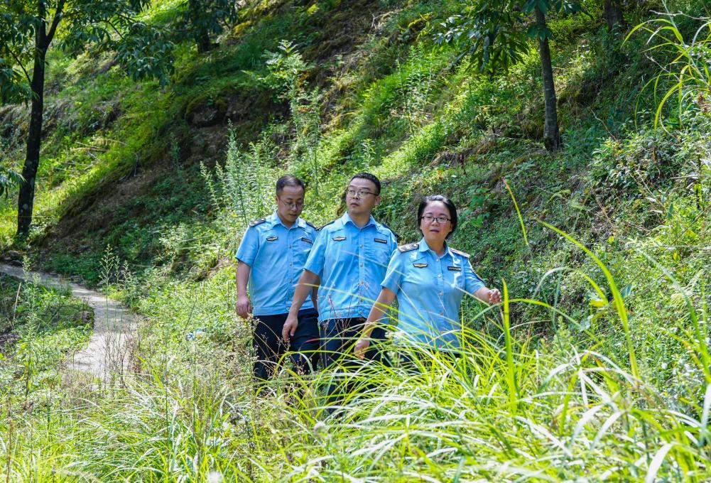 跨省聯(lián)防聯(lián)治推動(dòng)清涼峰生態(tài)保護