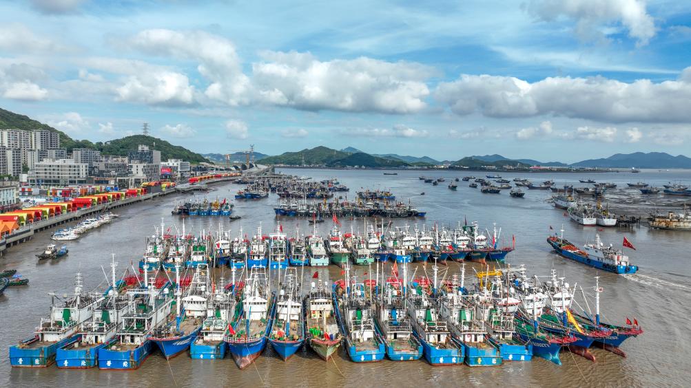 “?？?rdquo;逼近 浙江各地漁船回港避風(fēng)