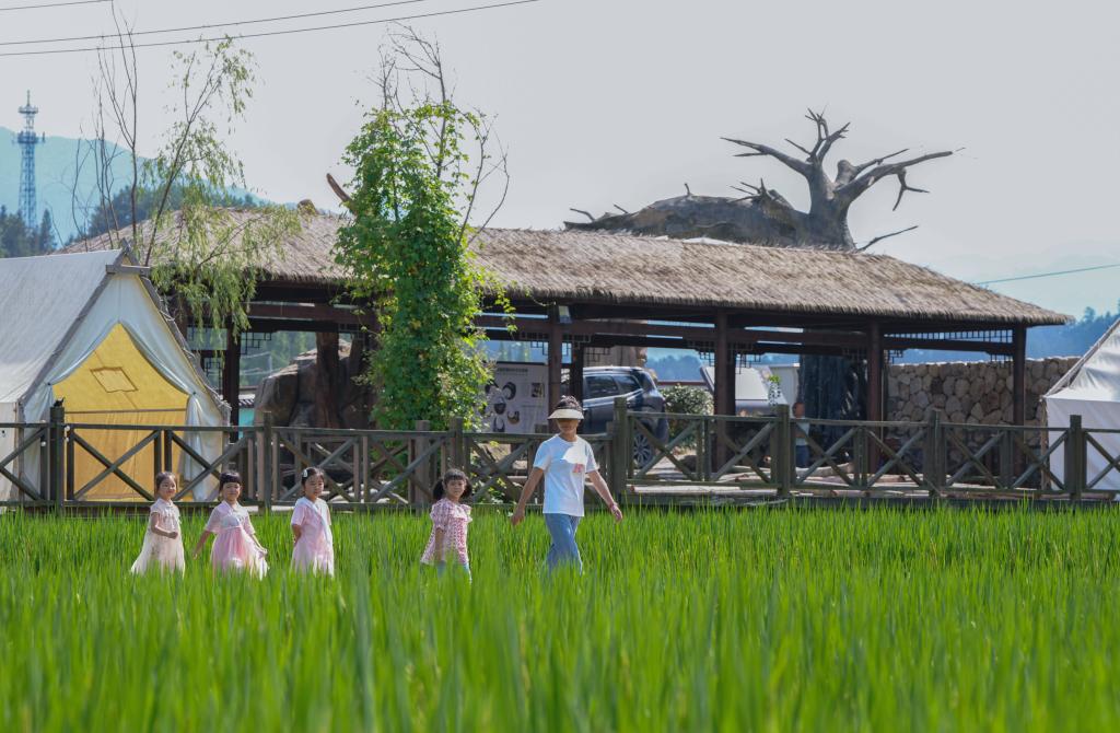 浙江臨安：打造村落景區助力國家級農業(yè)產(chǎn)業(yè)強鎮創(chuàng  )建