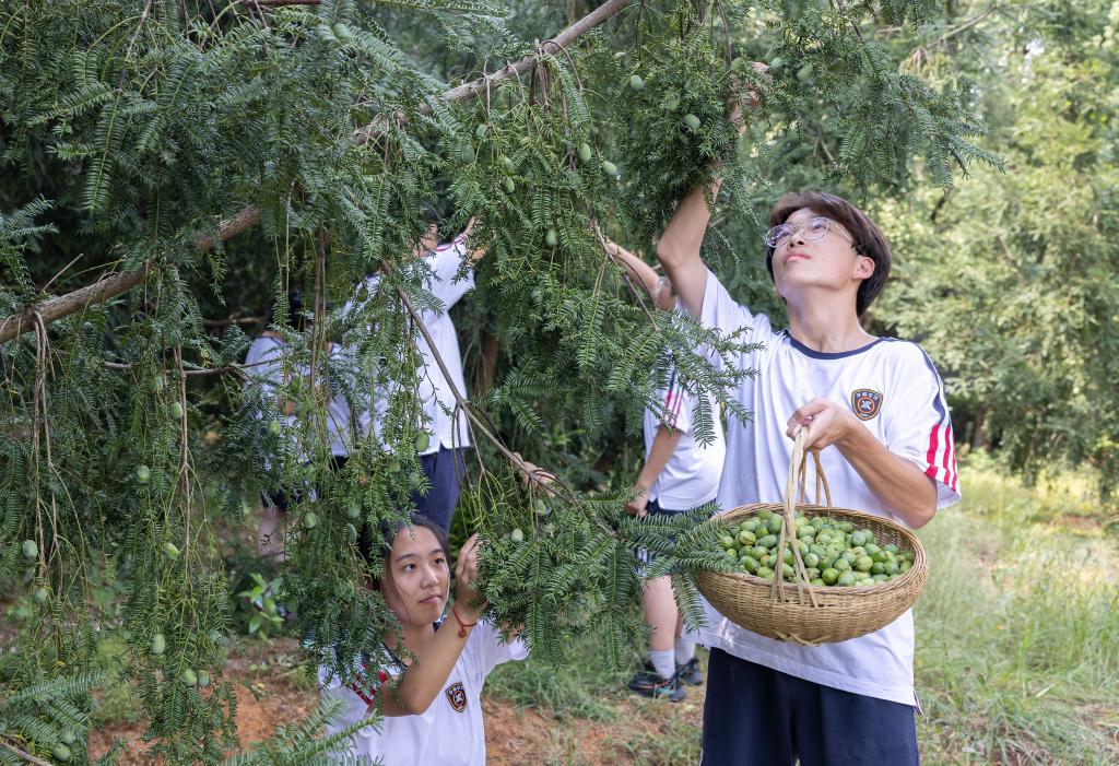浙江諸暨：勞動(dòng)教育伴成長(cháng)