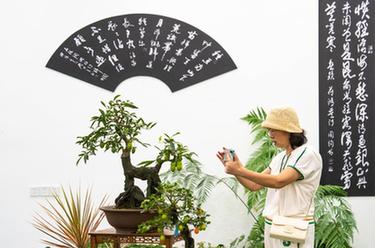 第二屆湖南花卉苗木博覽會(huì )在湘潭開(kāi)幕