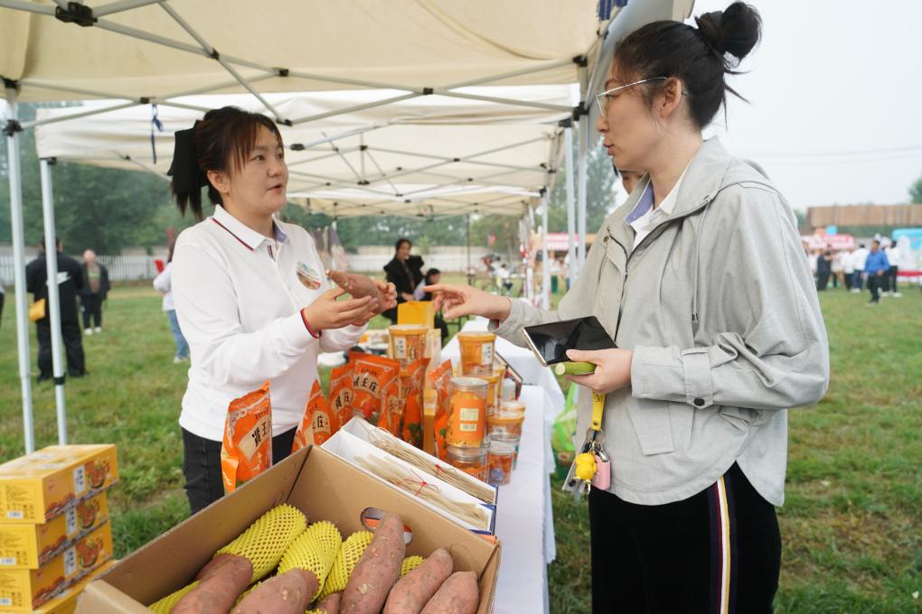 北京平谷：夏各莊鎮第五屆紅薯文化節開(kāi)幕