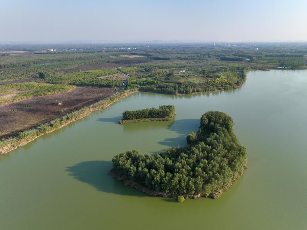新時(shí)代中國調研行·黃河篇丨昔日黃河沉沙區今成生態(tài)公園