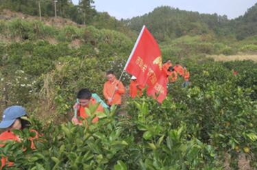 新華全媒+丨福建寧德：在“四下基層”實(shí)踐中培養鍛煉年輕干部
