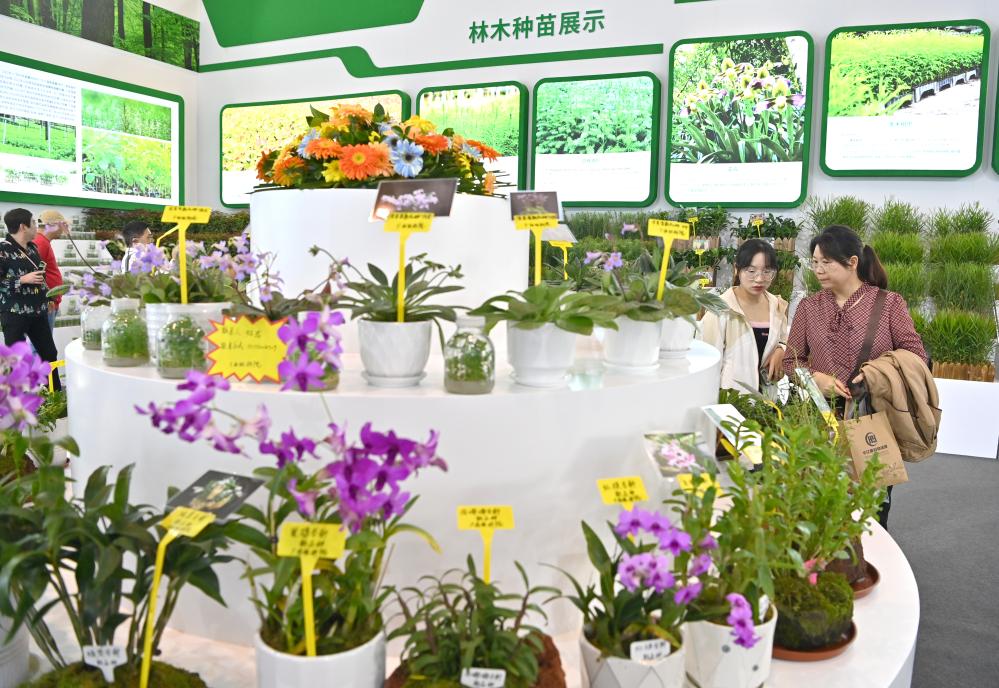 第一屆世界林木業(yè)大會(huì )開(kāi)幕