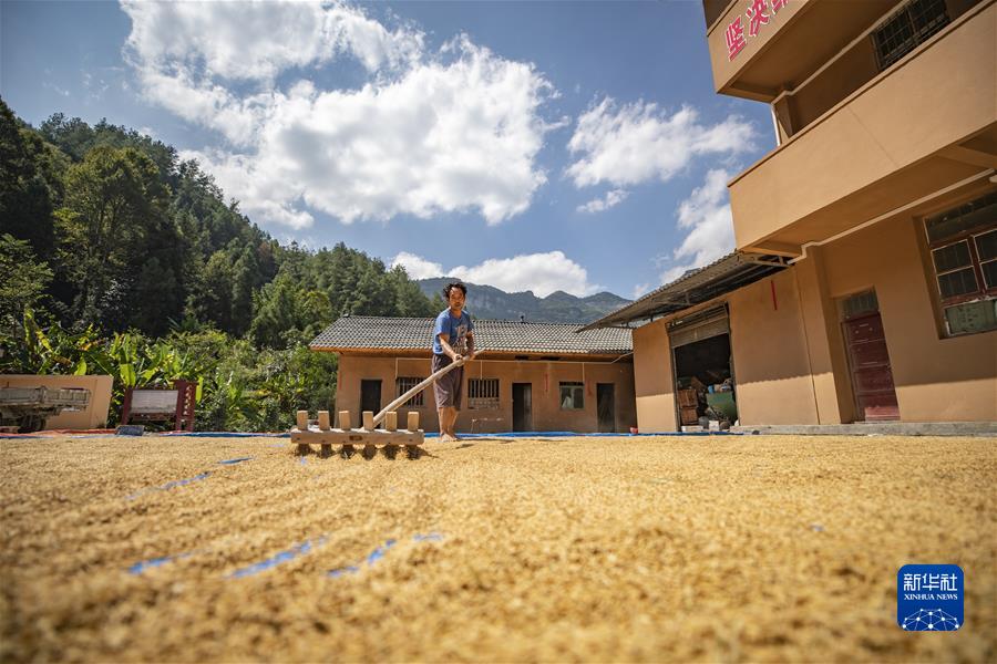 （新華全媒頭條·圖文互動(dòng)）（6）從百年黨史汲取不懈奮斗的力量——與會(huì )同志談黨的十九屆六中全會(huì )精神