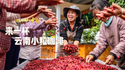 一眼心動(dòng)的中國丨來(lái)一杯云南小?？Х?></a> <span><img src=