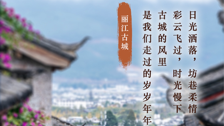 學(xué)習進(jìn)行時(shí)丨這些老街舊巷，在時(shí)光里綻放芳華