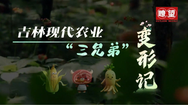 以發(fā)展現代化大農業(yè)為主攻方向
