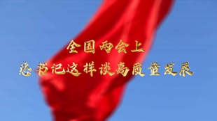 兩會(huì )上，總書(shū)記這樣談高質(zhì)量發(fā)展