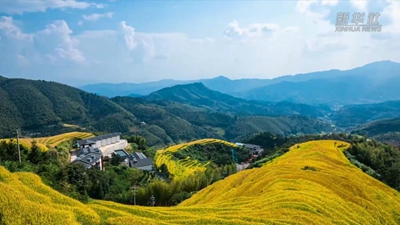 江西崇義：巧用農業(yè)文化遺產(chǎn)助推鄉村振興