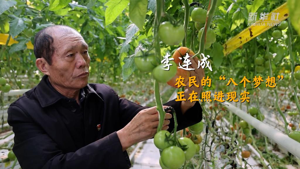 李連成：農民的“八個(gè)夢(mèng)想”正在照進(jìn)現實(shí)