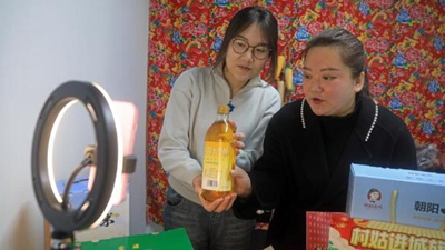 王穎：做 “有情懷，會(huì )妙招，富鄉親”新時(shí)代返鄉新農人