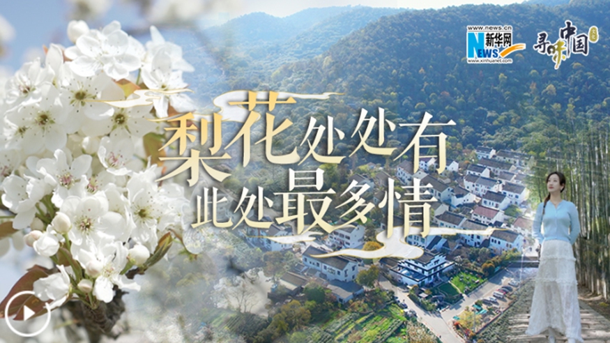 梨花處處有，此處最多情