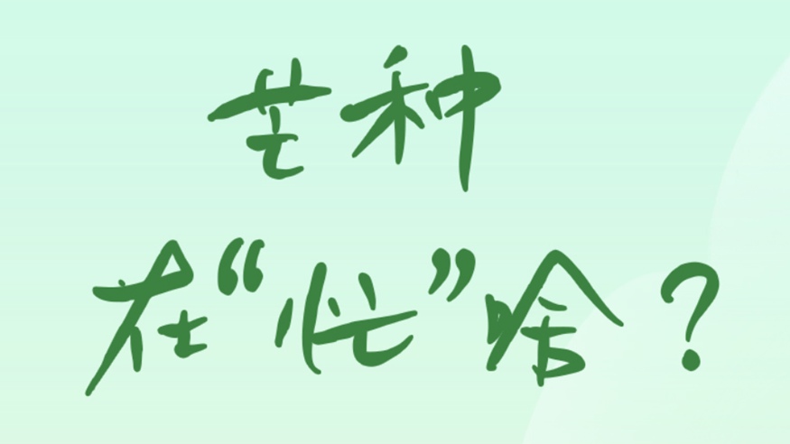 芒種在“忙”啥？